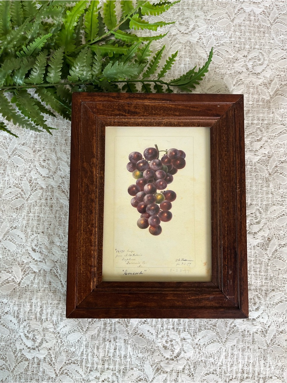 Vintage Solid Wood Framed Grape Decor 5x7